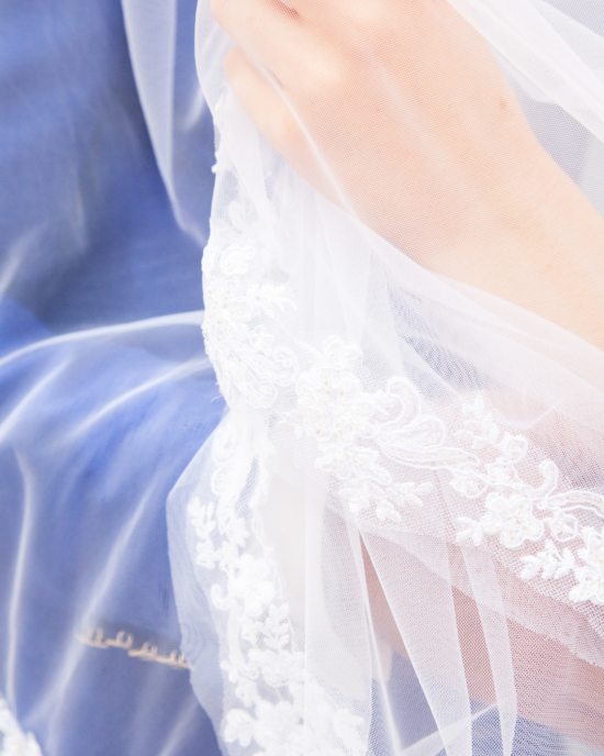 detail voile tulle dentelle detail voile tulle dentelle